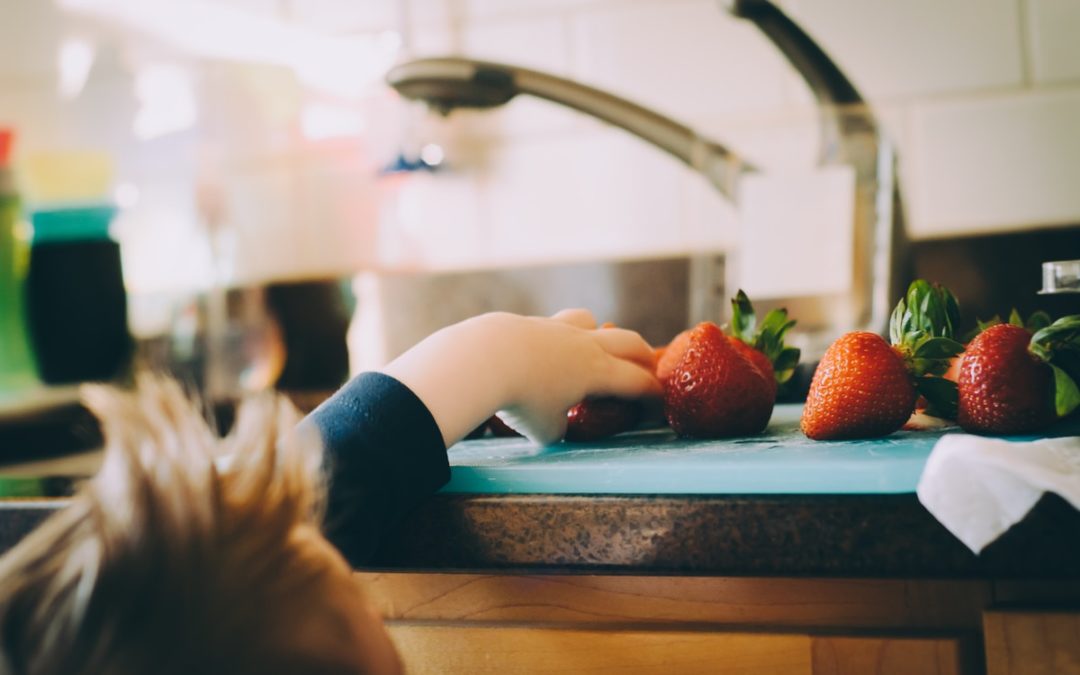 Dentist and Kid-Approved Back to School Lunches and Snacks